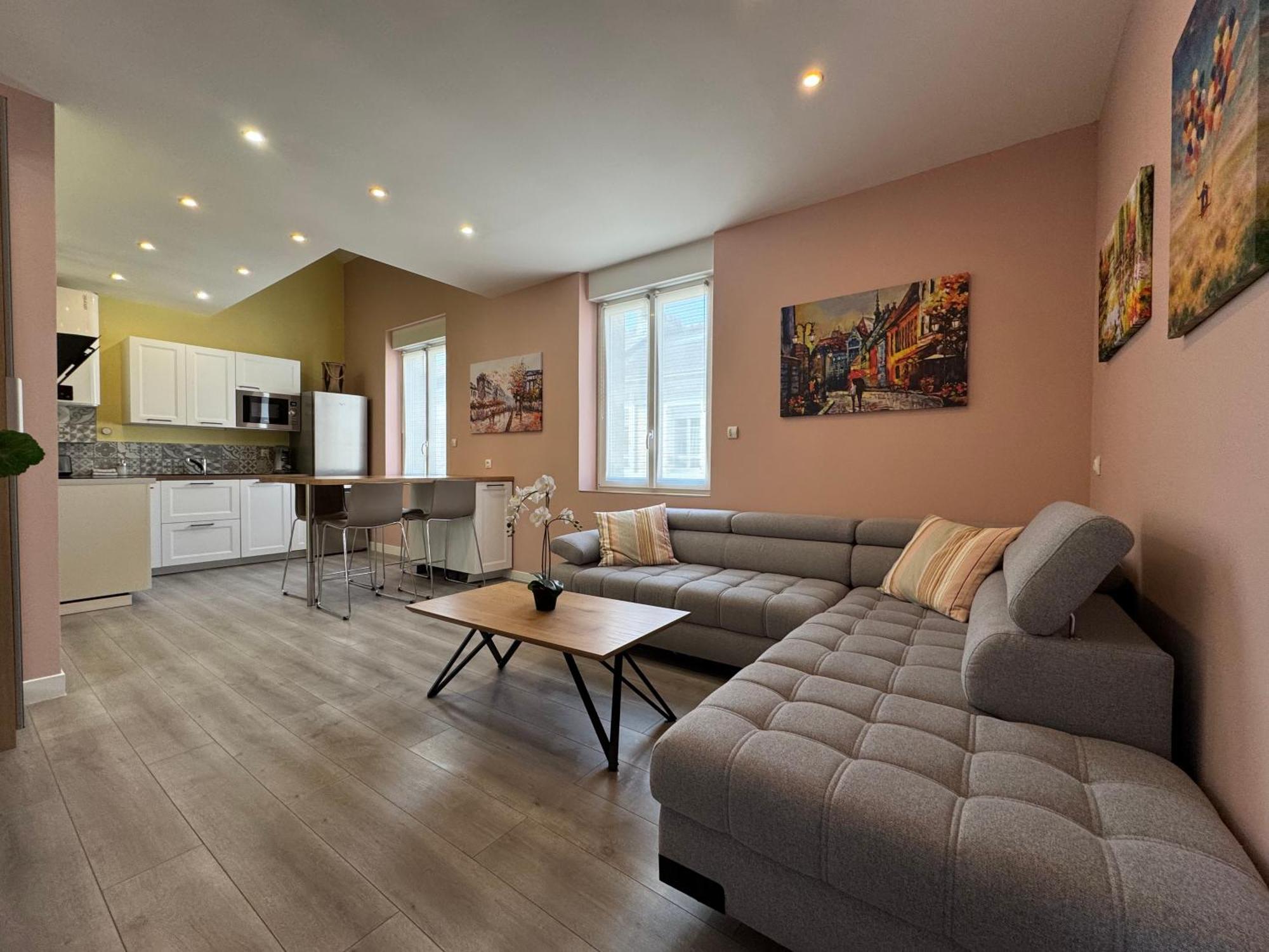 Ferienwohnung 70M2 Climatise - Parking Prive - Lycee Roosevelt - Reims Arena Exterior foto